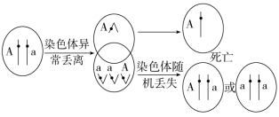 F:\一轮\生物\260.TIF