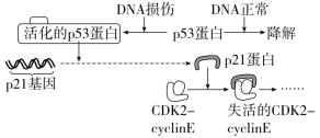 F:\一轮\生物\264.TIF