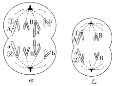 F:\一轮\生物\320.TIF