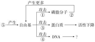 F:\一轮\生物\315+.TIF