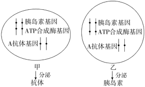 F:\一轮\生物\316+.TIF