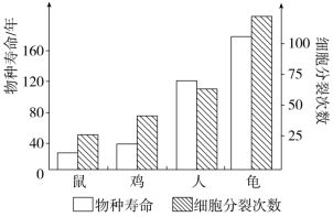 F:\一轮\生物\320+.TIF