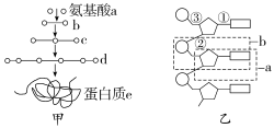 F:\一轮\生物\45.TIF