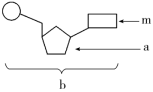 F:\一轮\生物\47.TIF