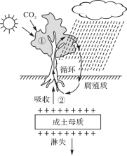 E:\小樣\全優(yōu)地理人教必修第一冊(cè)（2022.8.22出教用）\DY386.tif