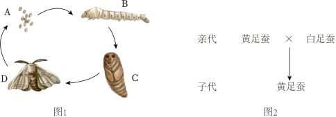 菁优网：http://www.jyeoo.com