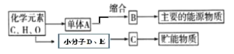 学科网 版权所有