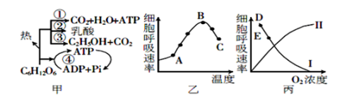 学科网(www.zxxk.com)--教育资源门户，提供试题试卷、教案、课件、教学论文、素材等各类教学资源库下载，还有大量丰富的教学资讯！