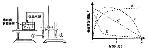 学科网(www.zxxk.com)--教育资源门户，提供试题试卷、教案、课件、教学论文、素材等各类教学资源库下载，还有大量丰富的教学资讯！