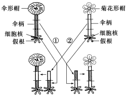 说明: 学科网(www.zxxk.com)--教育资源门户，提供试卷、教案、课件、论文、素材及各类教学资源下载，还有大量而丰富的教学相关资讯！