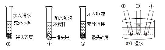 学科网(www.zxxk.com)--教育资源门户，提供试卷、教案、课件、论文、素材以及各类教学资源下载，还有大量而丰富的教学相关资讯！