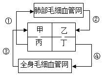 学科网(www.zxxk.com)--教育资源门户，提供试卷、教案、课件、论文、素材以及各类教学资源下载，还有大量而丰富的教学相关资讯！