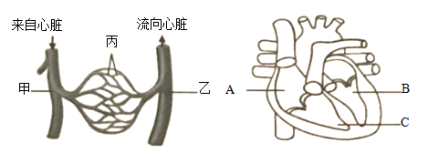 学科网(www.zxxk.com)--教育资源门户，提供试卷、教案、课件、论文、素材以及各类教学资源下载，还有大量而丰富的教学相关资讯！