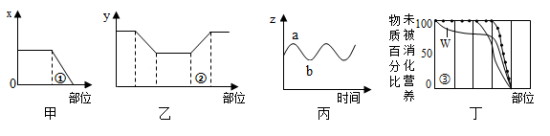 学科网(www.zxxk.com)--教育资源门户，提供试卷、教案、课件、论文、素材以及各类教学资源下载，还有大量而丰富的教学相关资讯！