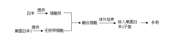 学科网(www.zxxk.com)--教育资源门户，提供试卷、教案、课件、论文、素材以及各类教学资源下载，还有大量而丰富的教学相关资讯！