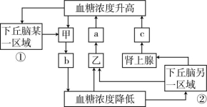 id:2147499608;FounderCES