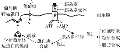 id:2147499636;FounderCES