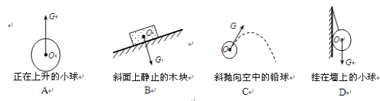 学科网(www.zxxk.com)--教育资源门户，提供试卷、教案、课件、论文、素材及各类教学资源下载，还有大量而丰富的教学相关资讯！