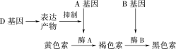 ../3.配套练习（学生用书模式）/WLHS52.TIF