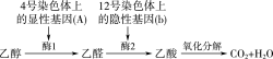 ../3.配套练习（学生用书模式）/WLHS54.TIF