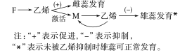 ../3.配套练习（学生用书模式）/SWXJT35.TIF