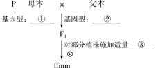 ../3.配套练习（学生用书模式）/SWXJT36.TIF