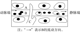 ../3.配套练习（学生用书模式）/SW22-19.TIF