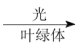 学科网(www.zxxk.com)--教育资源门户，提供试卷、教案、课件、论文、素材以及各类教学资源下载，还有大量而丰富的教学相关资讯！