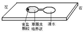 学科网(www.zxxk.com)--教育资源门户，提供试卷、教案、课件、论文、素材以及各类教学资源下载，还有大量而丰富的教学相关资讯！