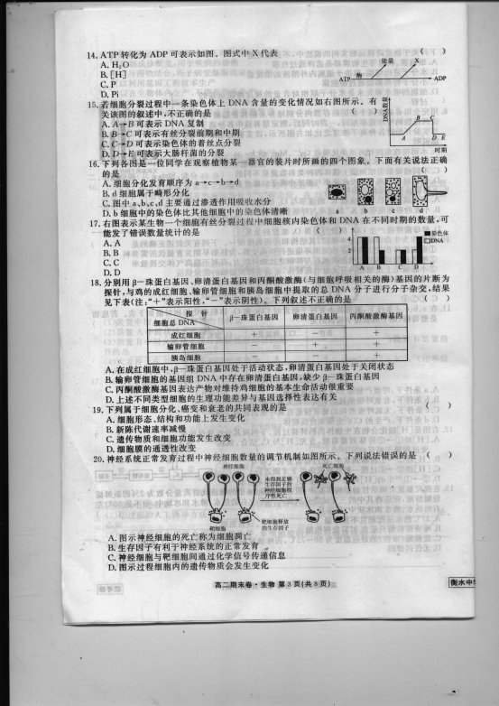 中国教育出版网（www.zzstep.com），免费精品资源门户网站。提供试卷、教案、课件、素材及各类精品教学资源下载