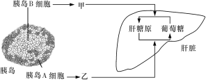 中国教育出版网（www.zzstep.com），免费精品资源门户网站。提供试卷、教案、课件、素材及各类精品教学资源下载