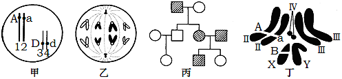 学科网(www.zxxk.com)--教育资源门户，提供试卷、教案、课件、论文、素材以及各类教学资源下载，还有大量而丰富的教学相关资讯！