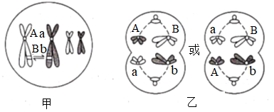 学科网(www.zxxk.com)--教育资源门户，提供试卷、教案、课件、论文、素材以及各类教学资源下载，还有大量而丰富的教学相关资讯！