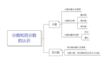 分数和百分数的认识