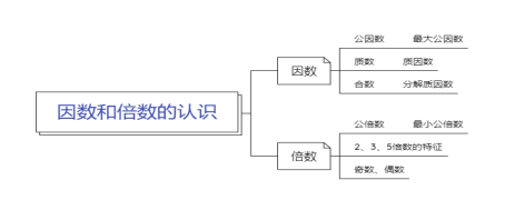 因数和倍数的认识