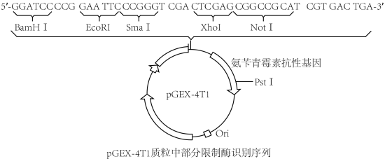 学科网(www.zxxk.com)--教育资源门户，提供试卷、教案、课件、论文、素材以及各类教学资源下载，还有大量而丰富的教学相关资讯！