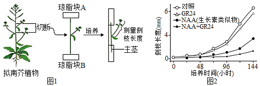 学科网(www.zxxk.com)--教育资源门户，提供试卷、教案、课件、论文、素材以及各类教学资源下载，还有大量而丰富的教学相关资讯！