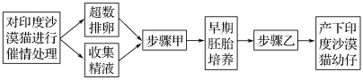 学科网(www.zxxk.com)--教育资源门户，提供试卷、教案、课件、论文、素材以及各类教学资源下载，还有大量而丰富的教学相关资讯！