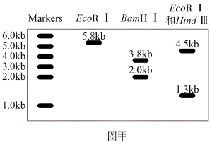 学科网(www.zxxk.com)--教育资源门户，提供试卷、教案、课件、论文、素材以及各类教学资源下载，还有大量而丰富的教学相关资讯！