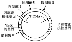 学科网(www.zxxk.com)--教育资源门户，提供试卷、教案、课件、论文、素材以及各类教学资源下载，还有大量而丰富的教学相关资讯！