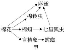 学科网(www.zxxk.com)--教育资源门户，提供试卷、教案、课件、论文、素材以及各类教学资源下载，还有大量而丰富的教学相关资讯！