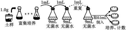 学科网(www.zxxk.com)--教育资源门户，提供试卷、教案、课件、论文、素材以及各类教学资源下载，还有大量而丰富的教学相关资讯！