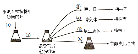 学科网(www.zxxk.com)--教育资源门户，提供试卷、教案、课件、论文、素材以及各类教学资源下载，还有大量而丰富的教学相关资讯！