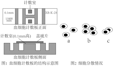 学科网(www.zxxk.com)--教育资源门户，提供试卷、教案、课件、论文、素材以及各类教学资源下载，还有大量而丰富的教学相关资讯！