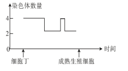 学科网(www.zxxk.com)--教育资源门户，提供试卷、教案、课件、论文、素材以及各类教学资源下载，还有大量而丰富的教学相关资讯！