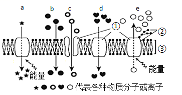 学科网(www.zxxk.com)--教育资源门户，提供试卷、教案、课件、论文、素材以及各类教学资源下载，还有大量而丰富的教学相关资讯！