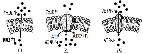 学科网(www.zxxk.com)--教育资源门户，提供试卷、教案、课件、论文、素材以及各类教学资源下载，还有大量而丰富的教学相关资讯！