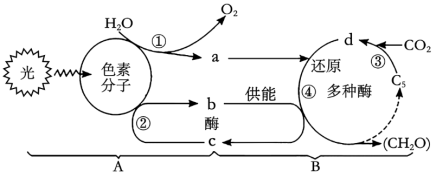 学科网(www.zxxk.com)--教育资源门户，提供试卷、教案、课件、论文、素材以及各类教学资源下载，还有大量而丰富的教学相关资讯！