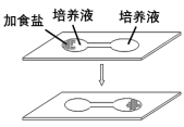 学科网(www.zxxk.com)--教育资源门户，提供试卷、教案、课件、论文、素材以及各类教学资源下载，还有大量而丰富的教学相关资讯！