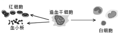 学科网(www.zxxk.com)--教育资源门户，提供试卷、教案、课件、论文、素材以及各类教学资源下载，还有大量而丰富的教学相关资讯！